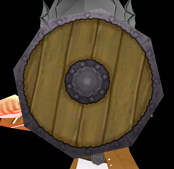 Equipped Round Shield