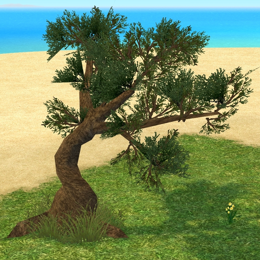 Building preview of Homestead Small Black Pine Tree