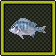 Black Sea Bream Journal.png