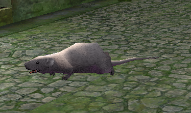 Picture of Gray Town Rat (Hardmode)
