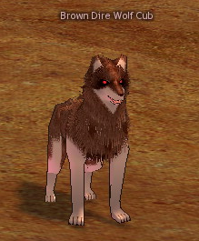 Picture of Brown Dire Wolf Cub