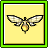 Spider Wasp Transformation Icon.png