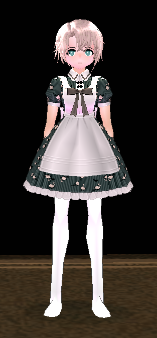 Old-Fashioned Dress and Apron (F) Equipped Front.png