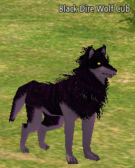 Picture of Black Dire Wolf Cub