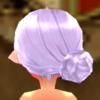 Equipped Elegant Hanbok Hair viewed from the back