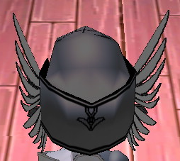 Equipped Exquisite Arashi Helm viewed from the back