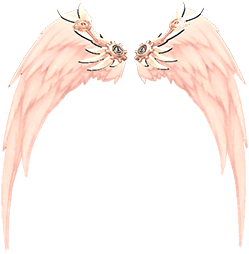 Rose Gold Gearbolt Wings preview.png