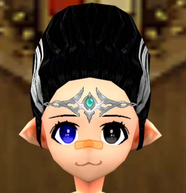 Equipped Ceann Bliana Skirmisher's Circlet (F) viewed from the front