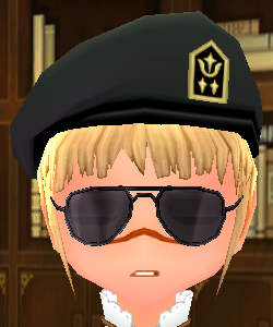 Equipped Desert Soldier Sunglasses and Beret viewed from the front