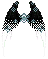 Void Night Frostblossom Wings.png