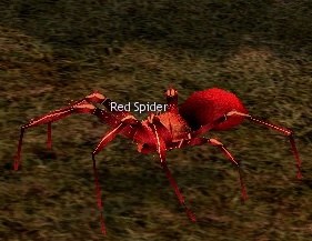 Picture of Red Spider (Abb Neagh)
