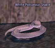 Picture of White Poisonous Snake