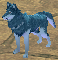 Picture of Blue Wolf