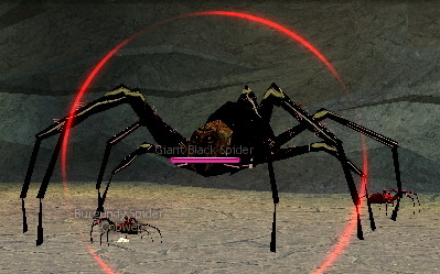 Picture of Giant Black Spider