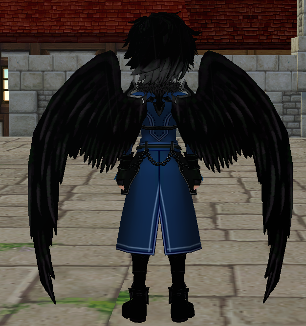 Equipped Black Holy Feather Wings viewed from the back