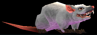 Picture of Cave Rat