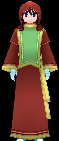 Equipped Guild Robe viewed from the front with the hood up