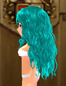 Equipped Laighlinne Wig viewed from the side