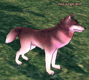 Picture of Red Jungle Wolf