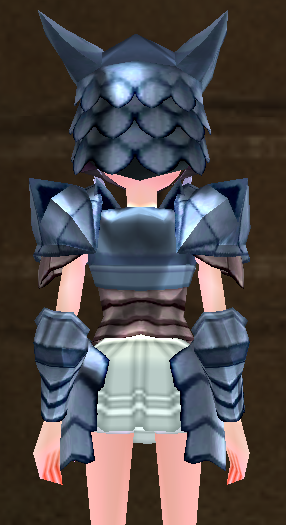 Equipped Female Dragon Rider Plate Armor viewed from the back