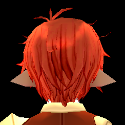 Equipped Reinhard Wig (M) viewed from the back