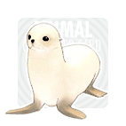 White seal1.gif