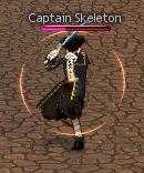 Picture of Captain Skeleton