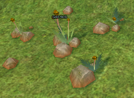 Golden Herb Patch on Homestead.png
