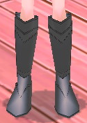 Exquisite Arashi Greaves (F) Equipped Front.png