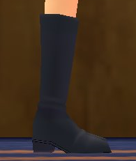 Equipped Lily's Magic Knight Officer Boots (F) viewed from the side