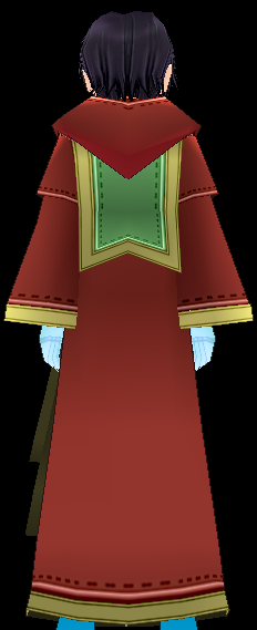 Equipped Guild Robe viewed from the back with the hood down