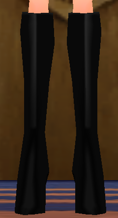 Black Succubus Boots Equipped Front.png