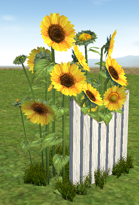 Building preview of Homestead Sunflower Fence