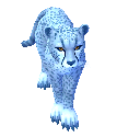 Blue Cheetah1.png