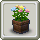 Flower Pot