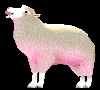 Picture of Sheep