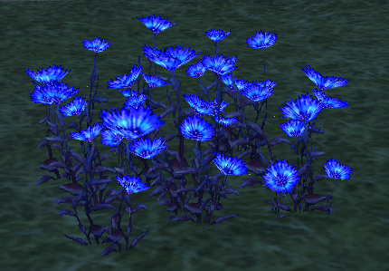 How Homestead Mourning Flower Patch (Whole) appears at night