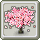 Building icon of Homestead Pretty Cherry Blossom Tree