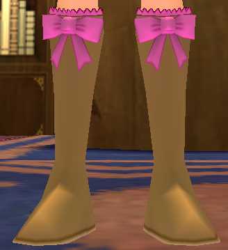 Equipped Bianca Ribbon Boots viewed from the front