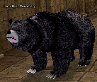 Picture of Black Bear (Mercenary)