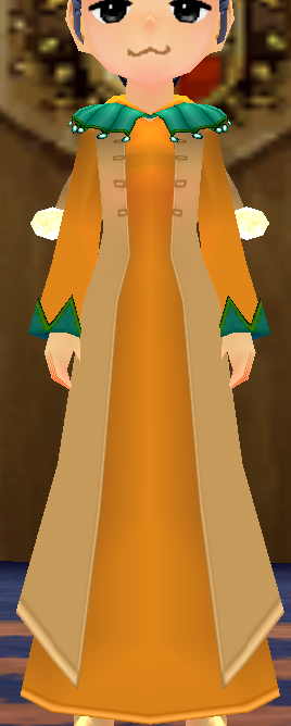 Equipped Female Jester Robe viewed from the front with the hood down