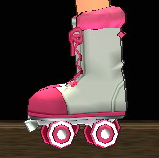 Equipped Roller Skates viewed from the side