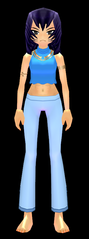 Refashioned Sleeveless and Bell-Bottoms Equipped Front.png