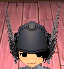 Equipped Exquisite Arashi Helm viewed from the front