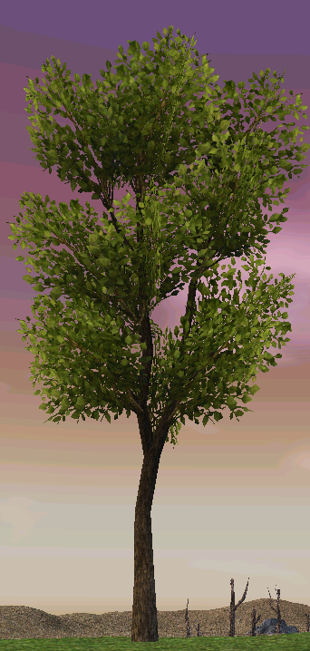 Building preview of Prairie Tree