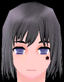 Shooting Star Face Beauty Coupon (F) (Giant) - Mabinogi World Wiki