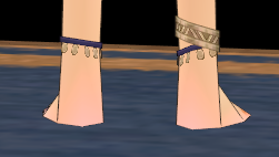 Equipped Water Spirit Ankle Straps viewed from the back