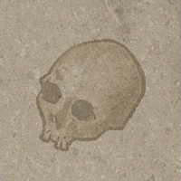 Skull fossil.PNG