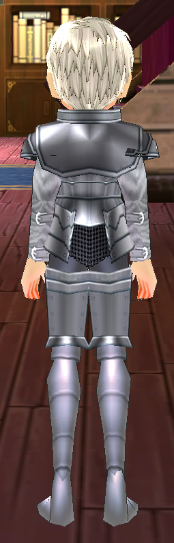 Equipped Aodhan's Claus Knight Armor viewed from the back