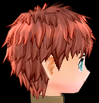 Equipped Shirou Emiya Wig viewed from the side